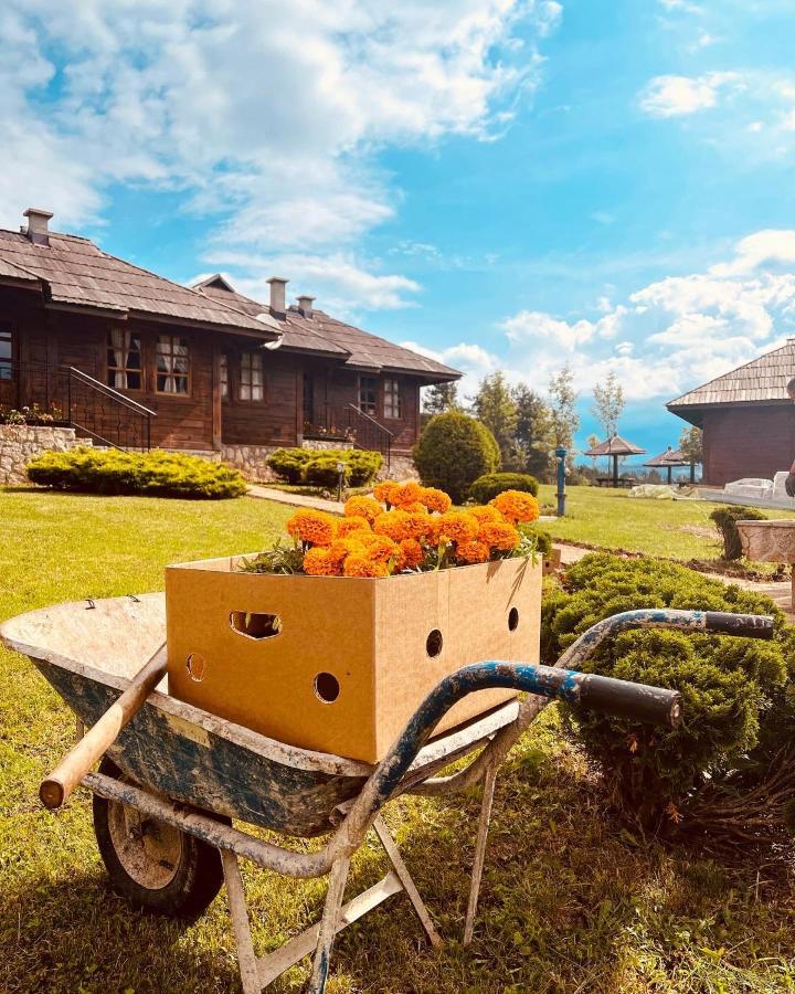 Etno Selo Vranesa Zlatar Hotel Nova Varoš Exterior foto