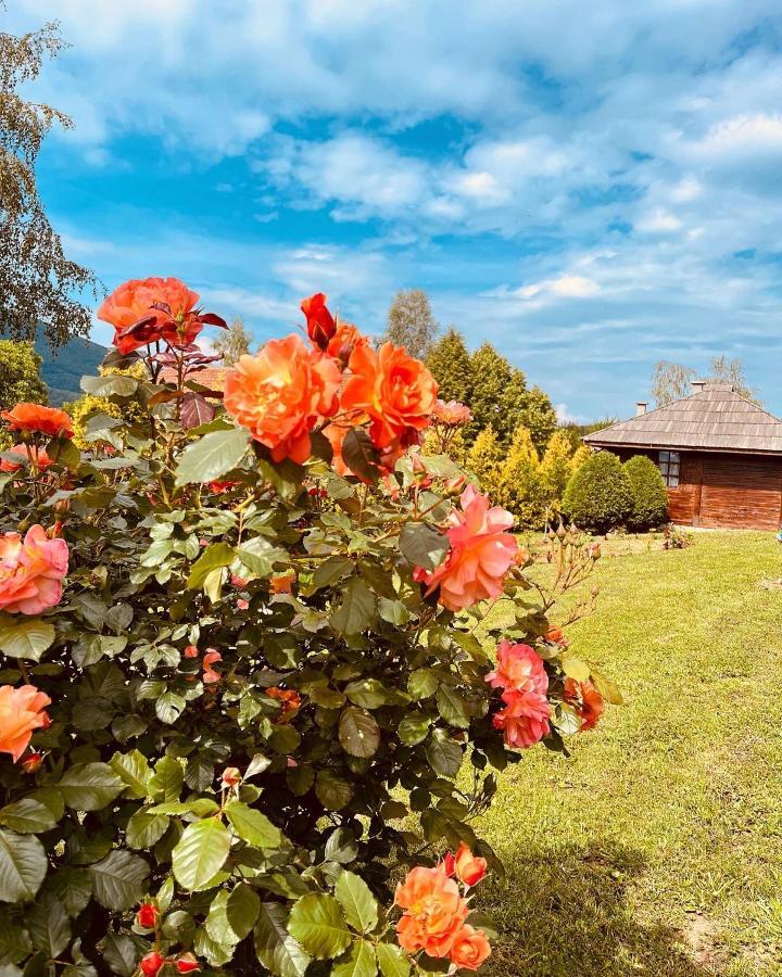 Etno Selo Vranesa Zlatar Hotel Nova Varoš Exterior foto